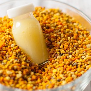 Bijenpollen en Royal Jelly zijn krachtige superfoods die je hier online kunt bestellen. Andere woorden zijn stuifmeel of koninginnegelei kopen.
