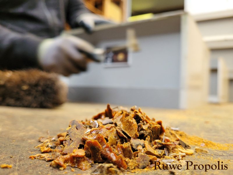 Oogst Van Ruwe Propolis Imkerij De Valksche Bijenhof