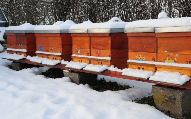 Een rij bijenkasten in de sneeuw. De vliegspleten zijn dichtgesneeuwd.