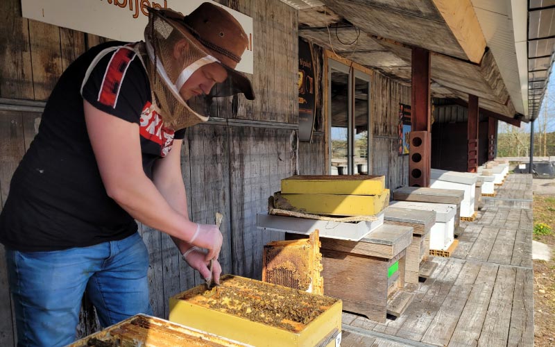 Imker Controleert De Bijenvolken Op Imkerij De Valksche Bijenhof Voor Honingonline