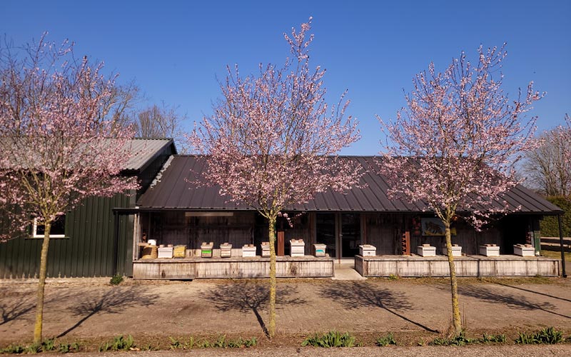 Bijenstal Imkerij De Valksche Bijenhof En Honingonline Achter De Kersenbloesem