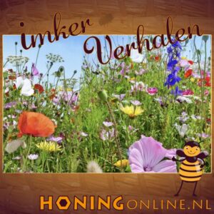 Inheems bloemenmengsel na het zaaien bloeit uitbundig als bijenmengsel zoals je dat kunt kopen.