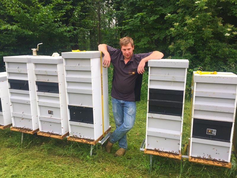 Grote sterke vitale bijenvolken van onze imkerij met de imker. Van deze volken oogsten we extra veen Nederlandse honing.