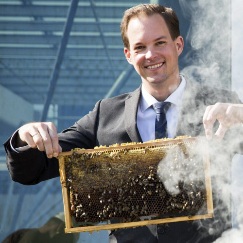 Bedrijfsuitje of team-uitje bij de imker. Tijdens de excursie op de imkerij vertelt de imker over bijen en honing in de rondleiding met het team op de bijenboerderij.