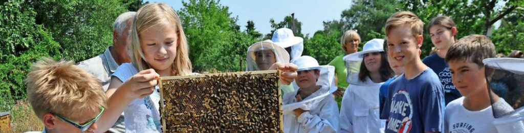 Prijs opvragen van een excursie bij de imker is wel zo handig. Doe een aanvraag voor een boeking op imkerij De Valksche Bijenhof.