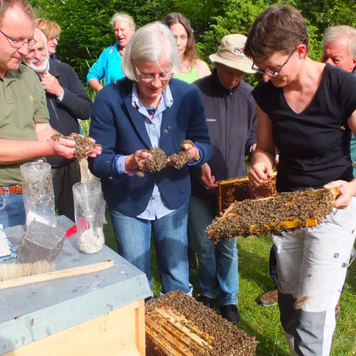 Familie bezoekt de imkerij en bekijkt de bijen tijdens de rondleiding van de imker. De familiedag excursie bij de imker is erg leuk.