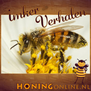 Alles Over Stuifmeel Korrels En Bestuiving Door Bijen Gezond Hooikoorts