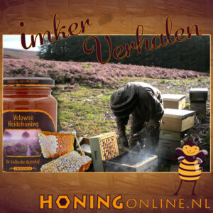 Alles over de Nederlandse heidehoning die je van de imker moet kopen. Heidehoning of heideraat staat bekend als de beste gezonde honing ter wereld.