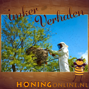 Bestrijding Nest Aziatische Hoornaar In Een Boom