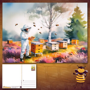 Ansichtkaart Aquarel van een imker op de paarse Veluwse heide tussen zijn bijenkorven met berkenbomen en naaldbossen. Deze kaarten kan je hier in de webshop kopen