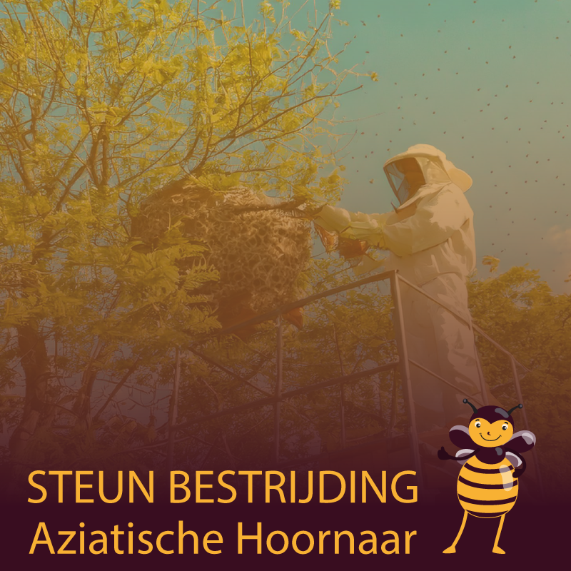 Ongedierte bestrijder aan het werk om een nest van de Aziatische hoornaar te verwijderen. Steun bestrijding met apparatuur van deze hoornaar met een gift.